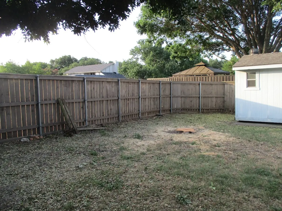 Cleared yard after professional tree removal in Lewis